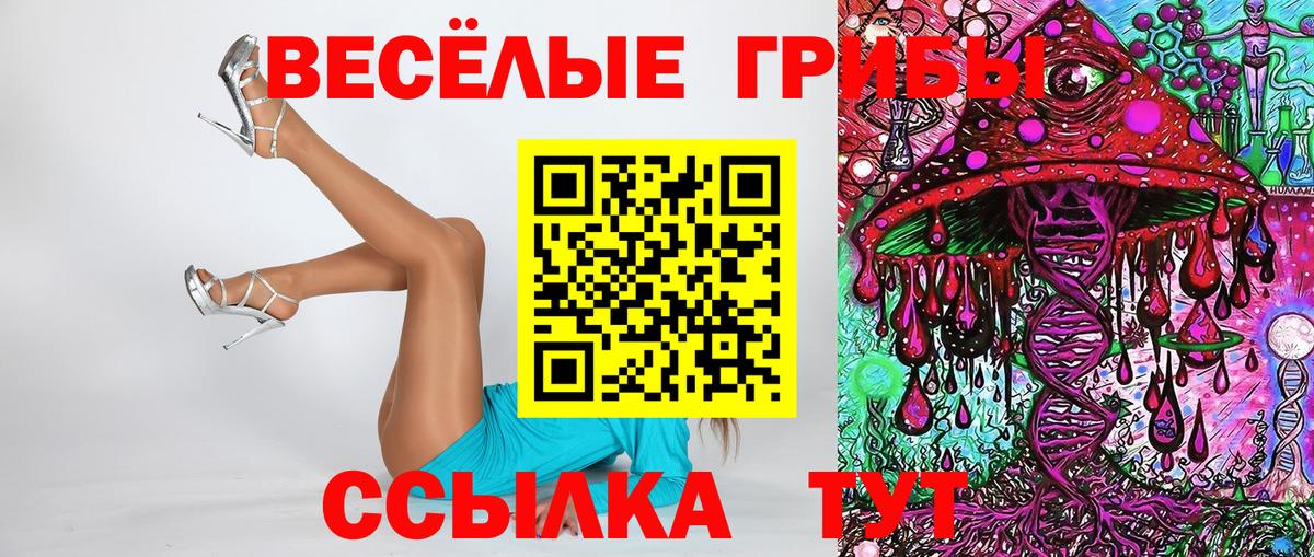 Псилоцибиновые грибы Psilocybine cubensis Батайск