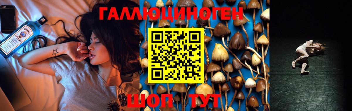 Батайск  Галлюциногенные грибы ЛСД  Вход с VPN 